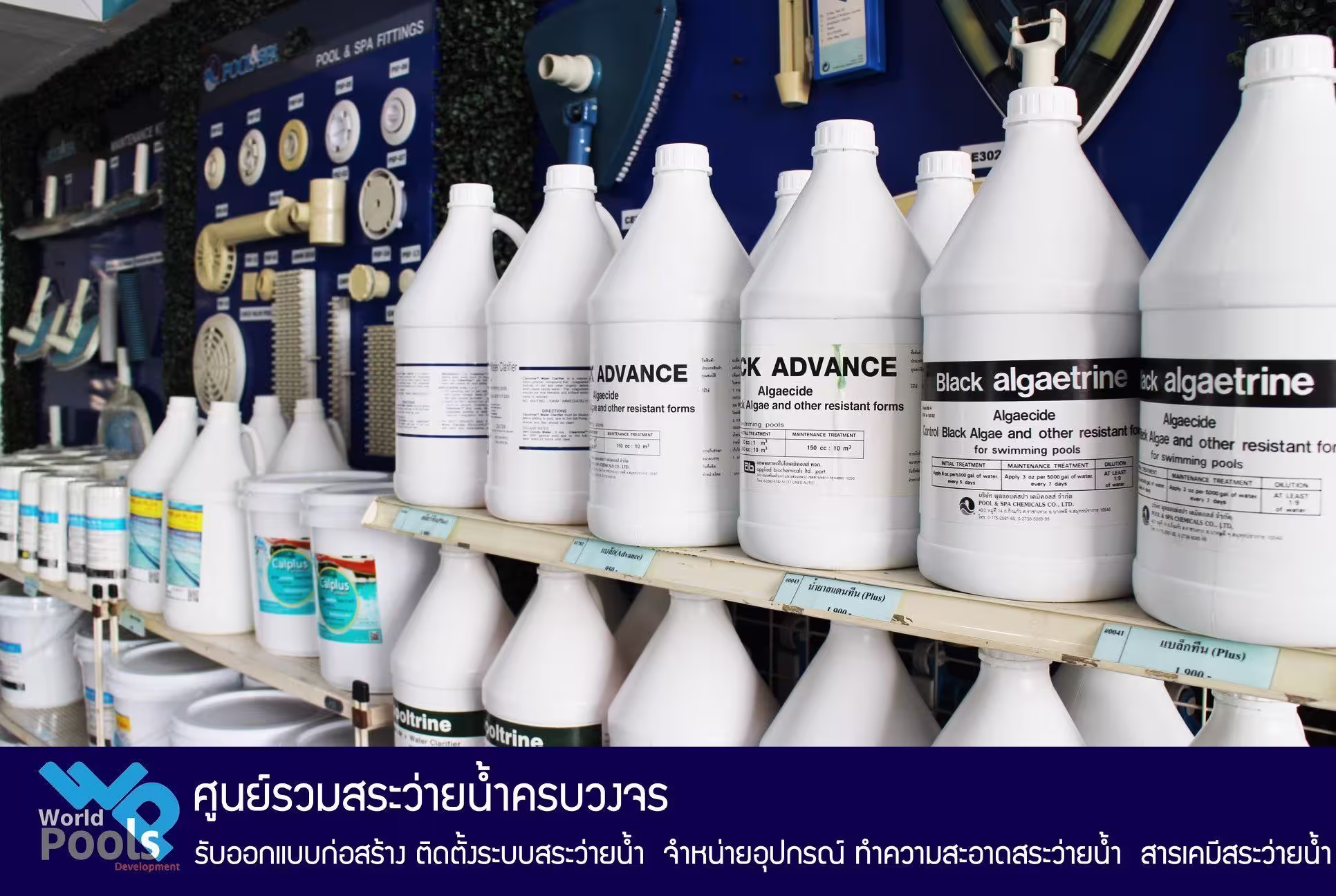 เกี่ยวกับเรา,World Pools Development