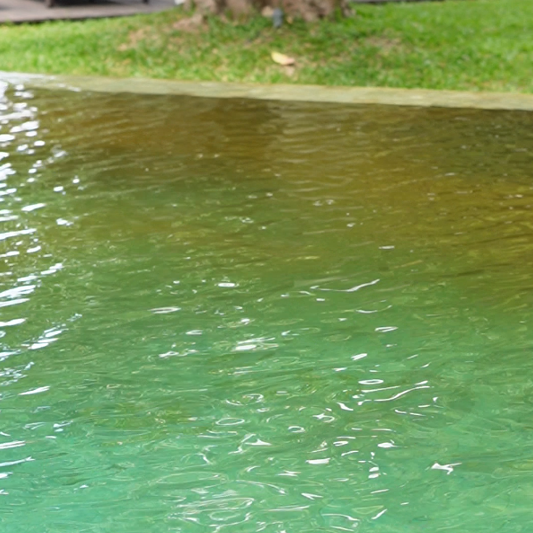 ต้องเติม chlorine ในสระว่ายน้ำ