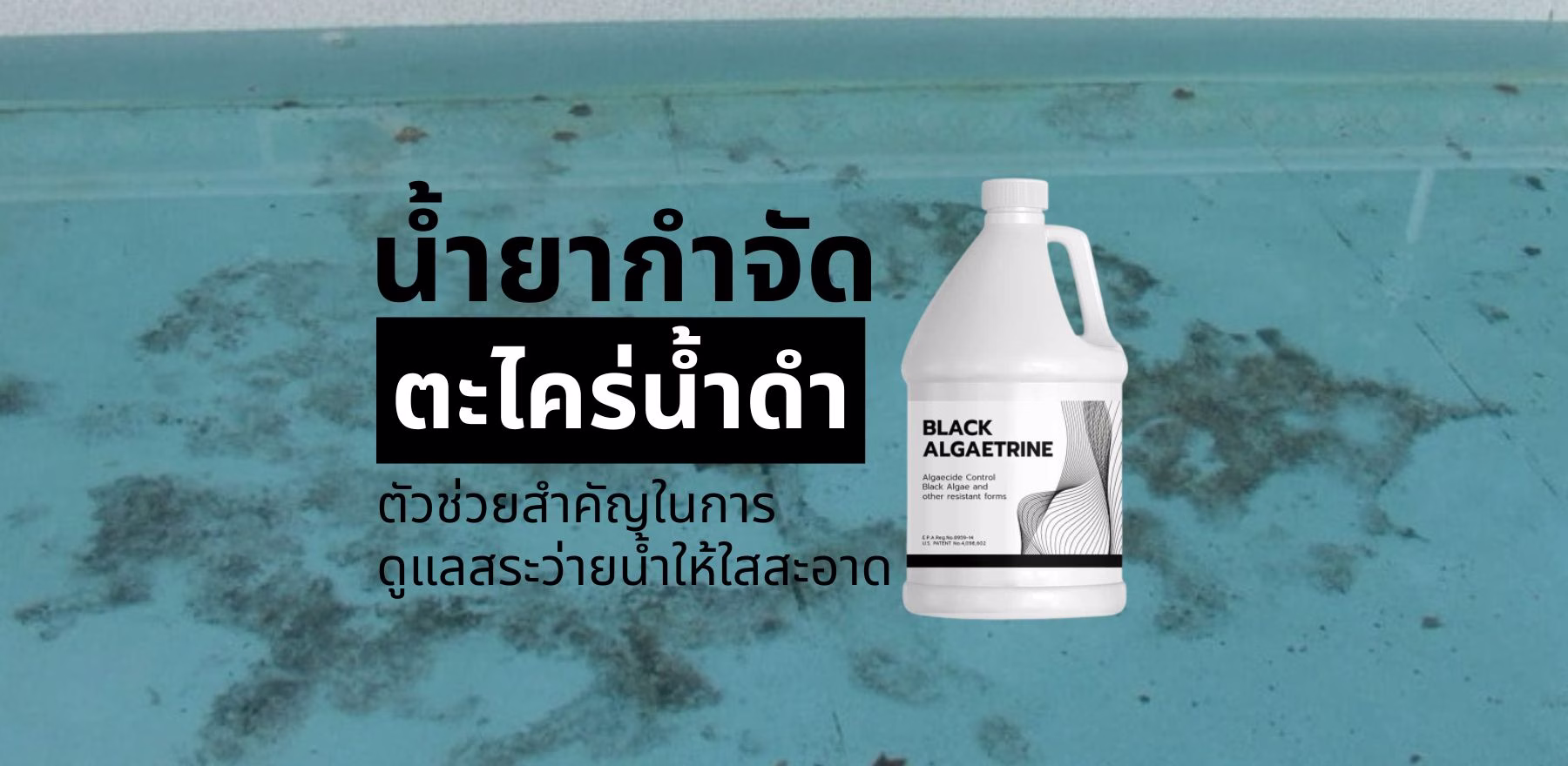 น้ำยากำจัดตะไคร่น้ำดำ ตัวช่วยสำคัญในการดูแลสระว่ายน้ำให้ใสสะอาด