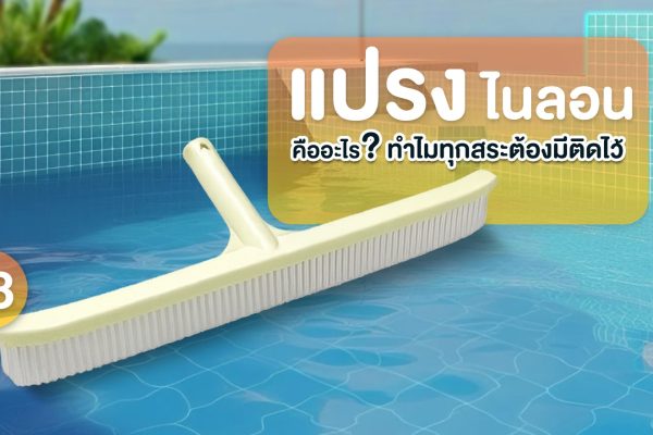 แปรงไนลอน