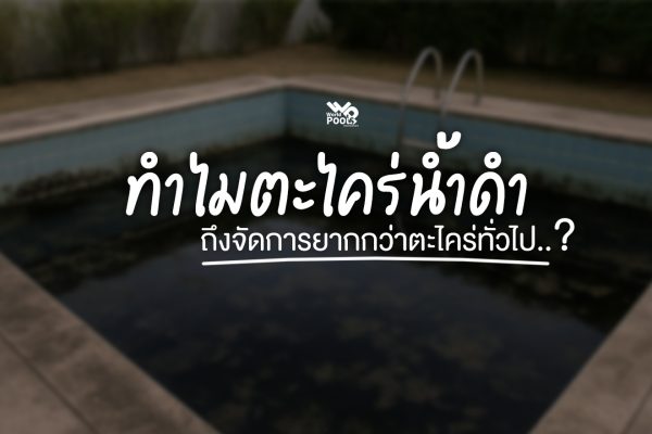 น้ำยากำจัดตะไคร่น้ำดำ