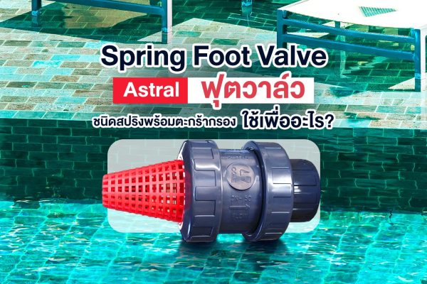 Spring Foot Valve Astral ฟุตวาล์ว ชนิดสปริงพร้อมตะกร้ากรอง